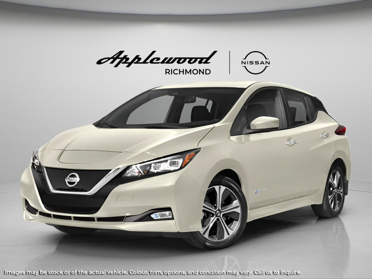 2018 Nissan LEAF SV