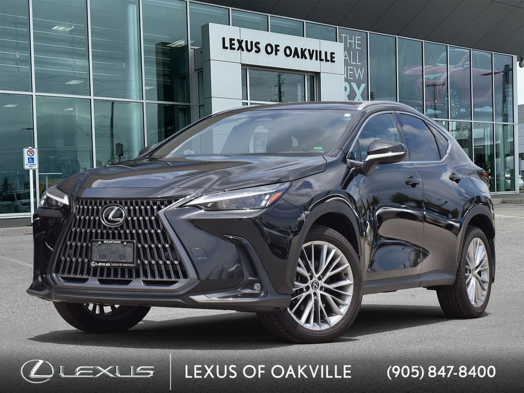 2024 Lexus NX 350h Luxury