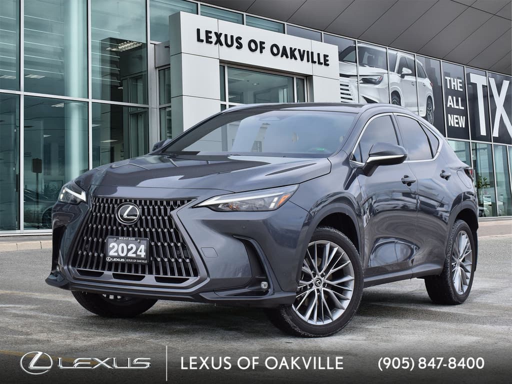 2024 Lexus NX 350h Luxury