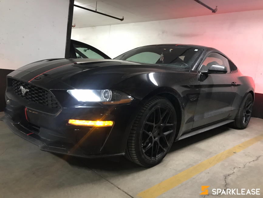 2019 Ford Mustang