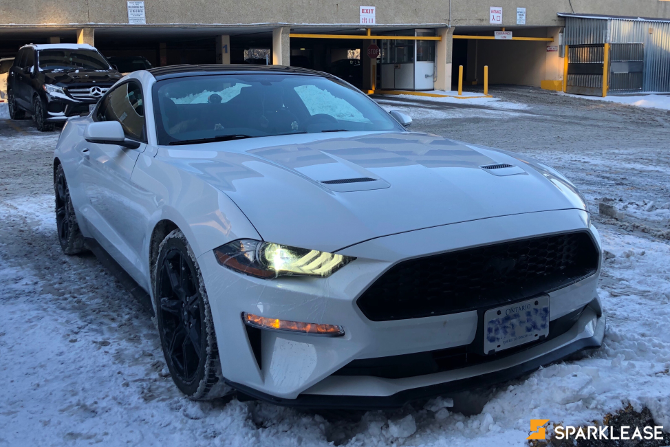 2019 Ford Mustang