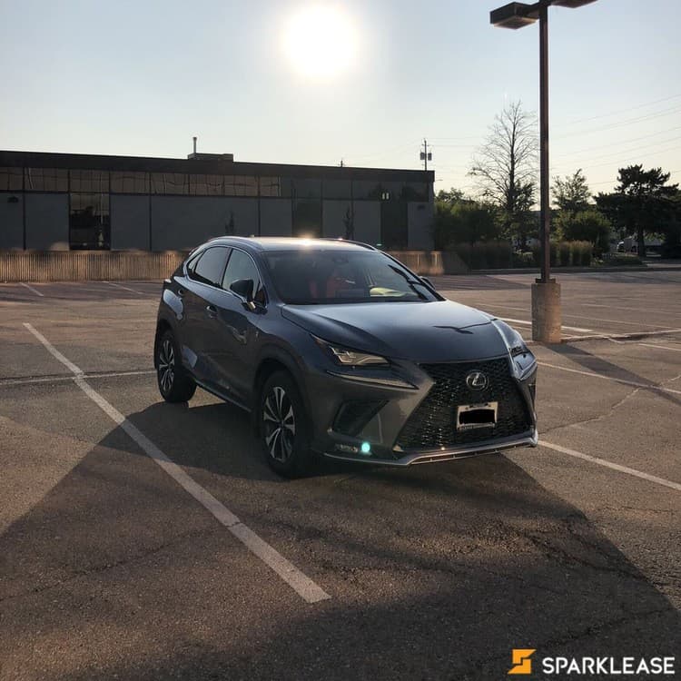 2019 Lexus NX300 F1