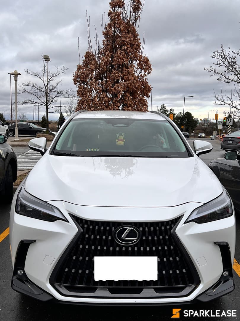 2022 Lexus NX