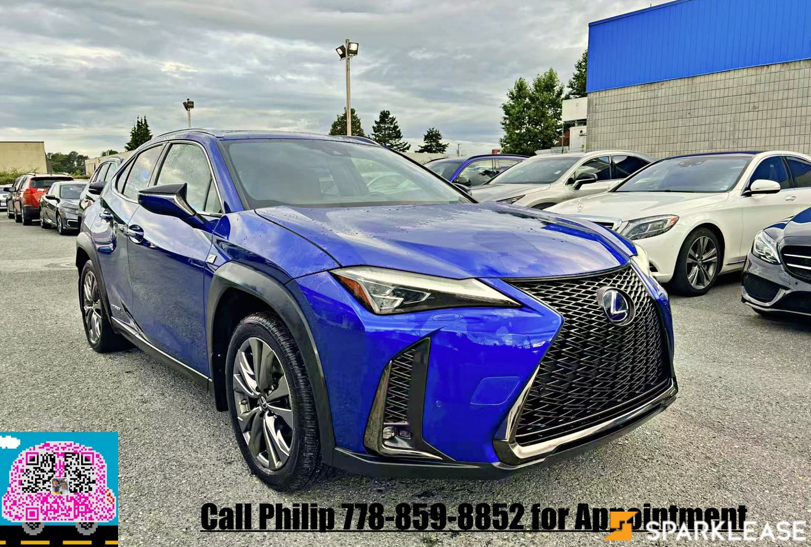 2019 Lexus UX250 F-Sport 油電混合動力