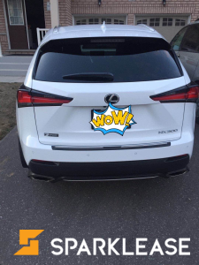 2019 Lexus NX 300 F sport 2