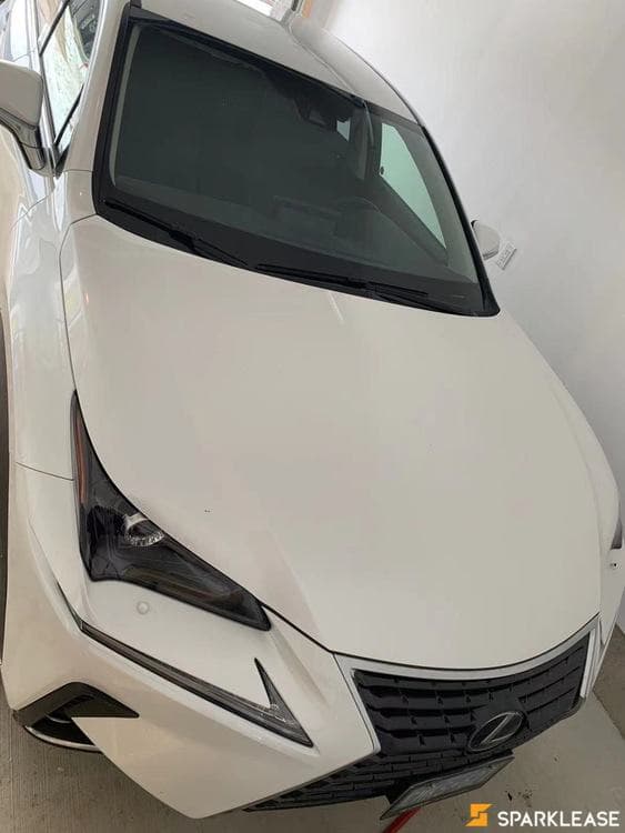 2020 Lexus NX300