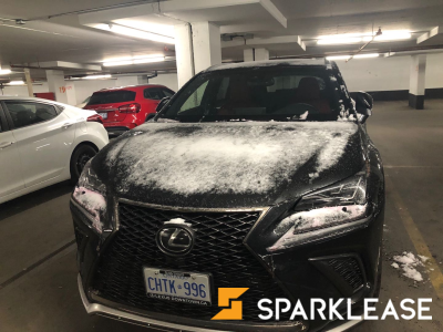 2019 Lexus NX300