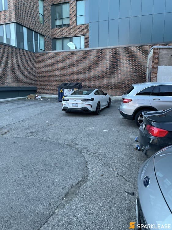 2019 BMW 8