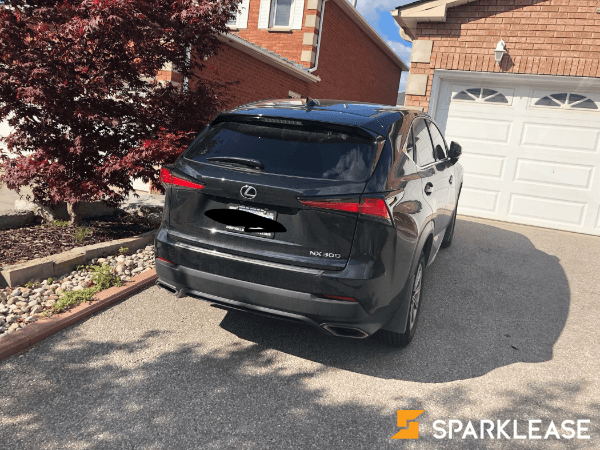 2019 Lexus NX