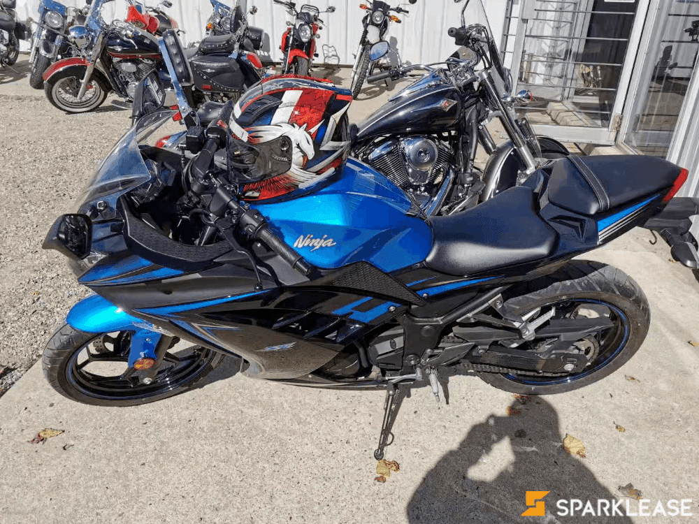 2015 Kawasaki Ninja 300 ABS
