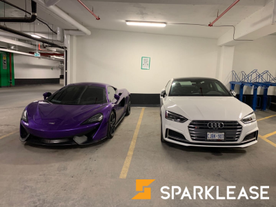 2019 Audi S5 双门