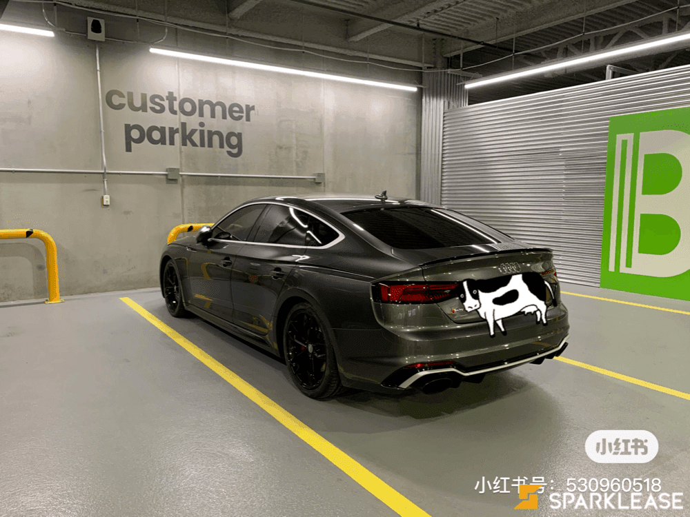 2019 Audi RS5 with Sports Exhaust Package