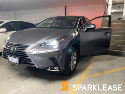 2020 Lexus NX