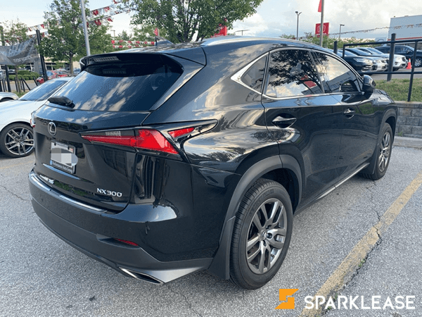 2019 Lexus NX300