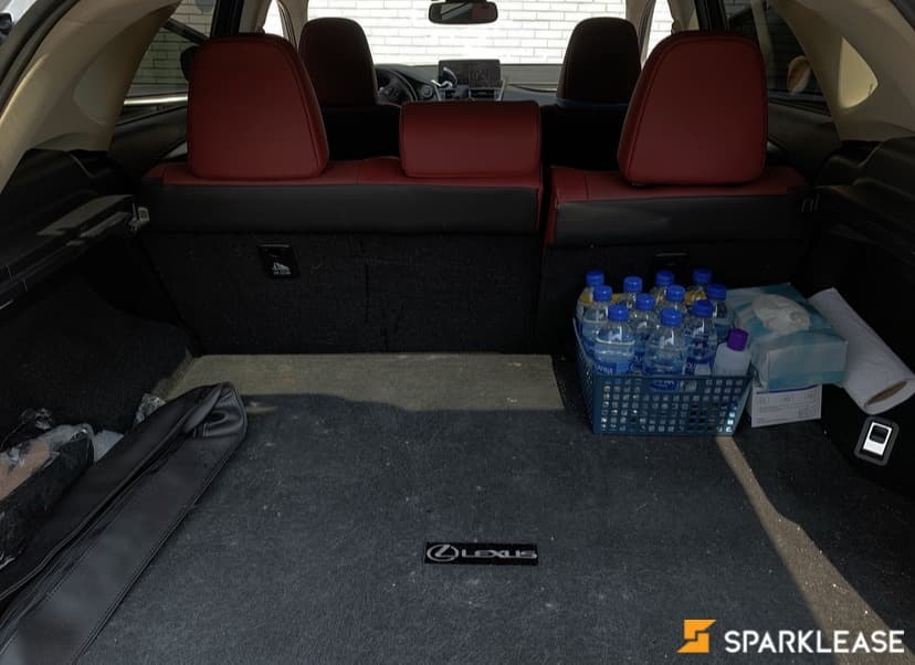2021 Lexus NX300 Premium珍珠白红内饰