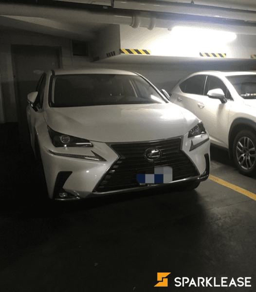 2020 Lexus NX300