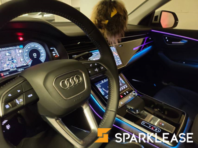 2019 Audi Q8 Technik