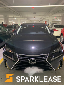 2019 Lexus NX