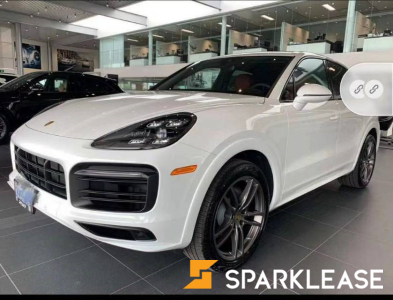 2019 Porsche Cayenne 顶配,可不过户