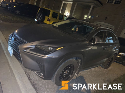 2020 Lexus NX