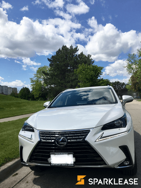 2019 Lexus NX300