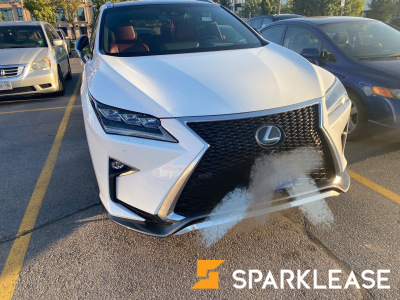 2019 Lexus RX350 F-sport