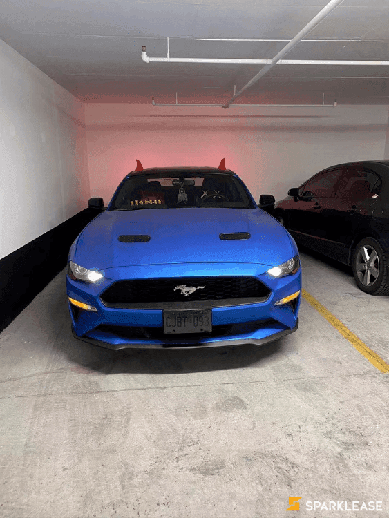 2019 Ford Mustang