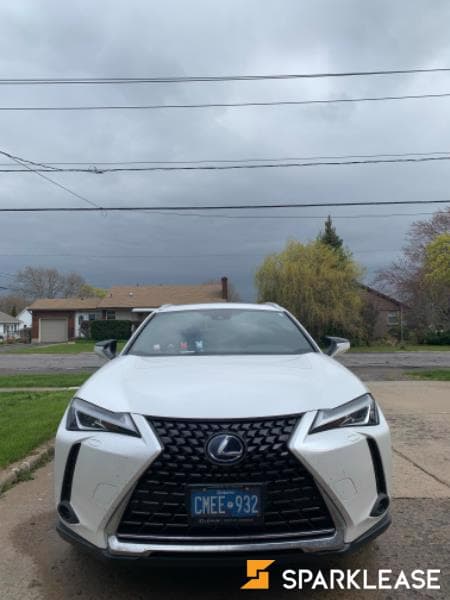 2020 Lexus UX250h