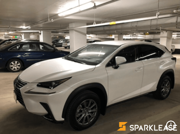 2019 Lexus NX 300