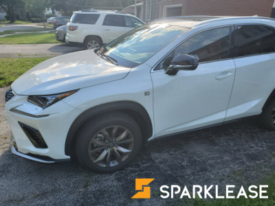 2020 Lexus NX 300 F2