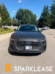 2019 Audi Q8