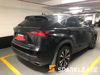 2019 Lexus NX 300 F-Sport2