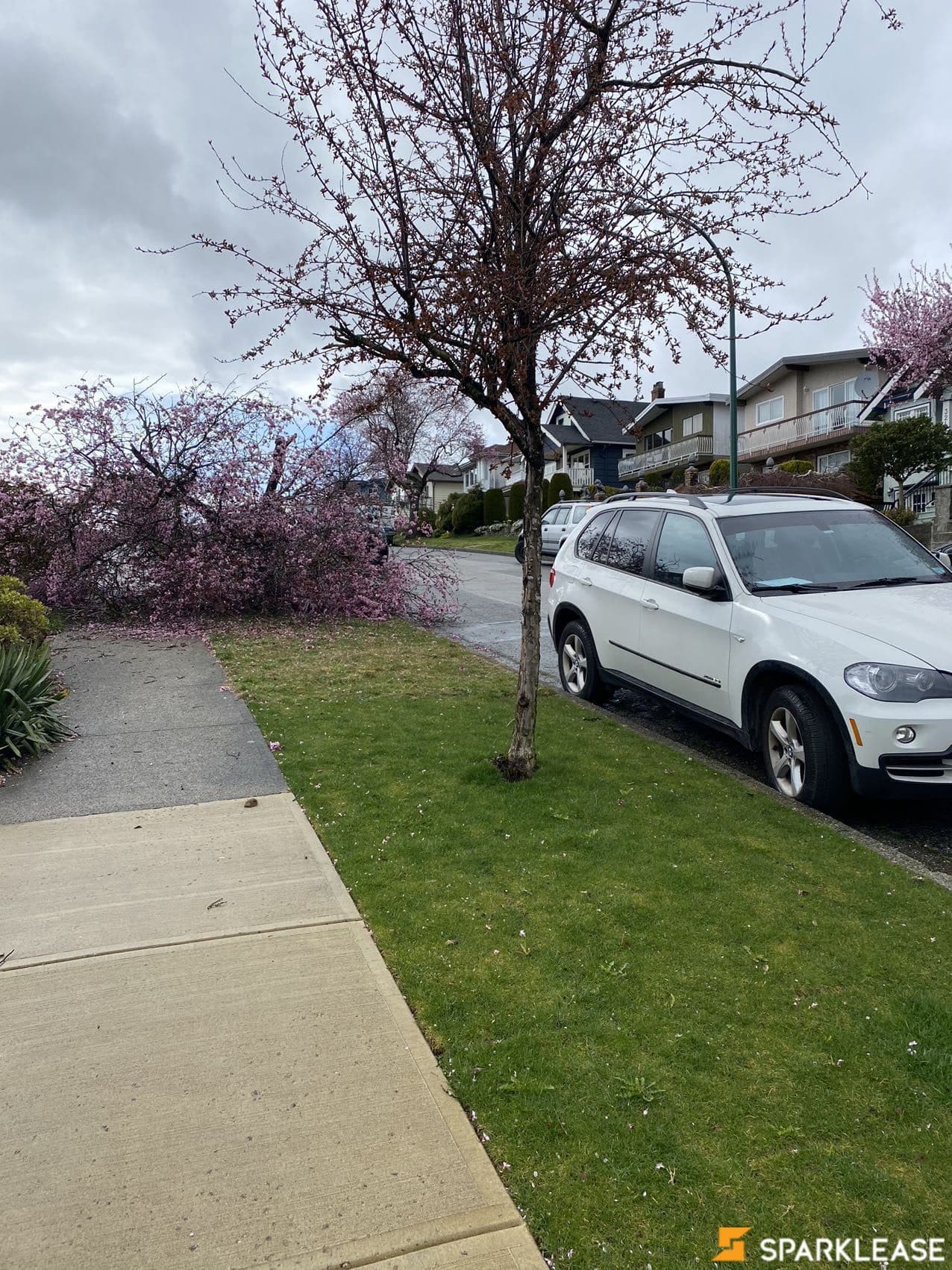 2010 BMW X5