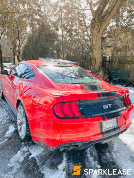 2019 Mustang GT premium