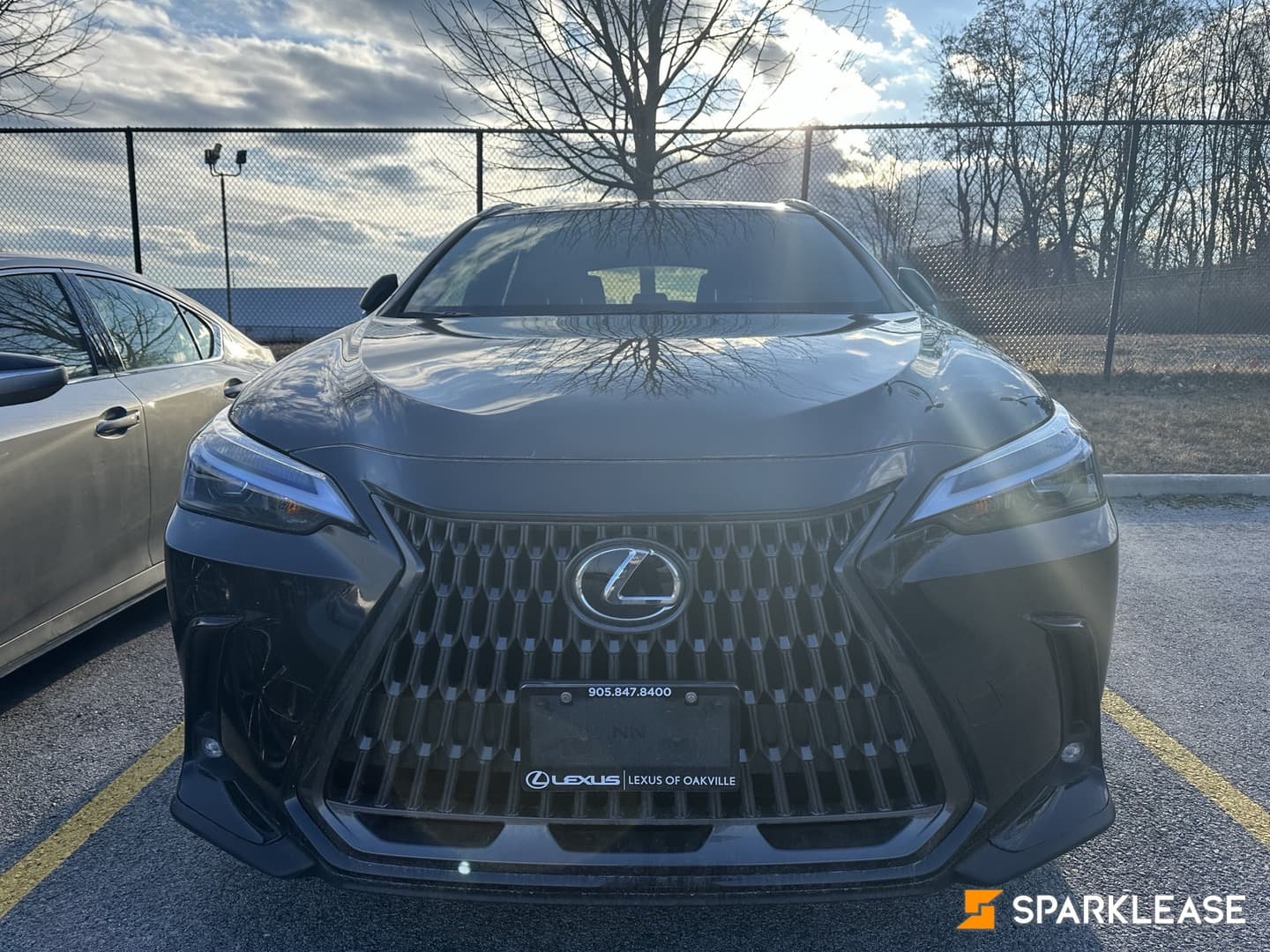 2023 Lexus NX350h Premium