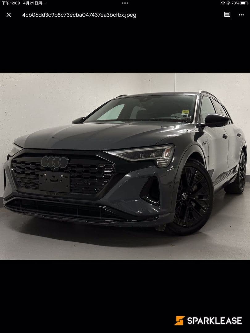 2024 Audi Q8 e-tron quattro