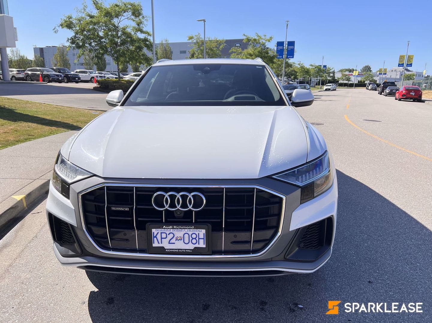 2019 Audi Q8 Technik 55 TFSI quattro
