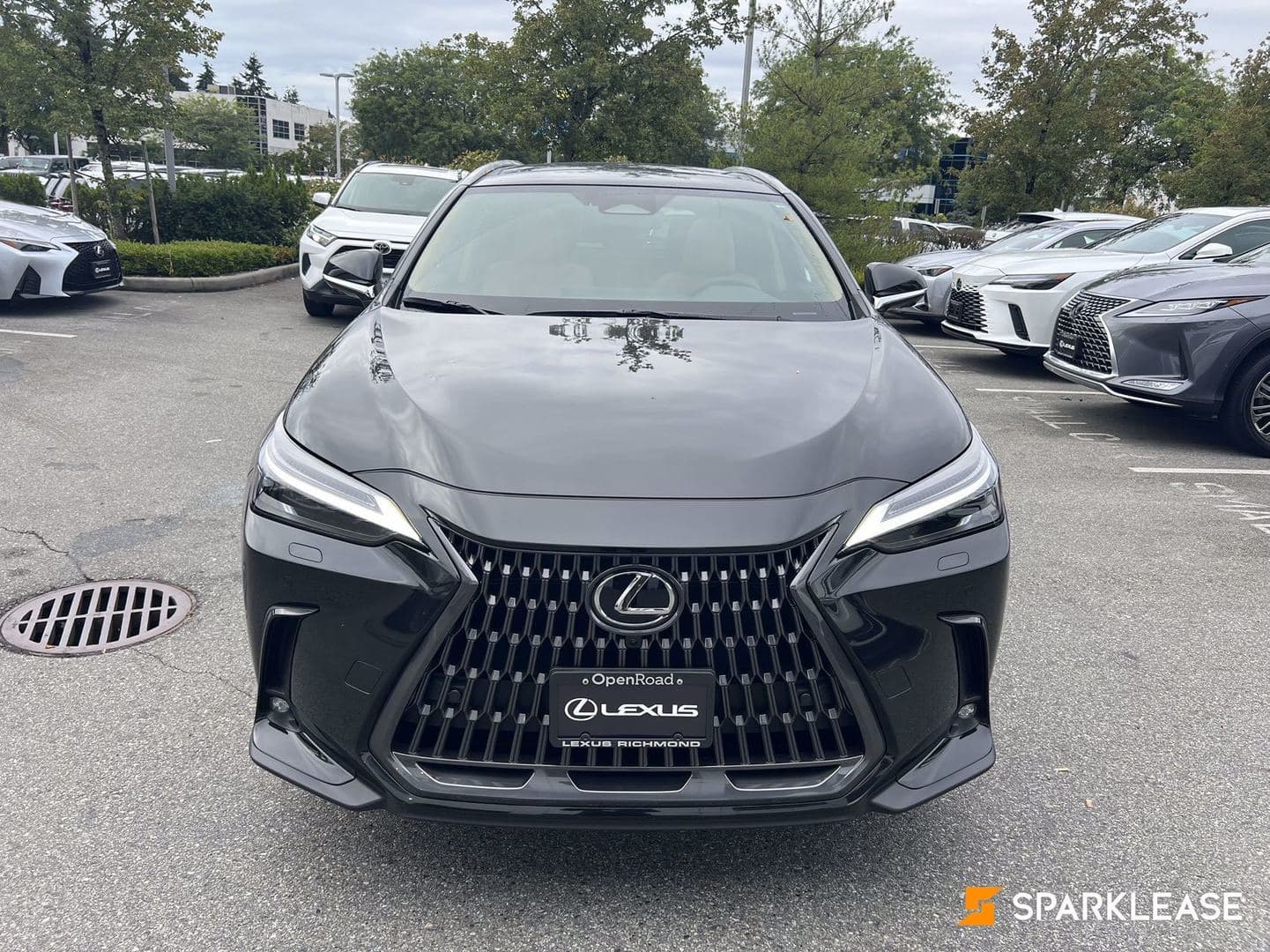 2025 Lexus NX NX 350h AWD