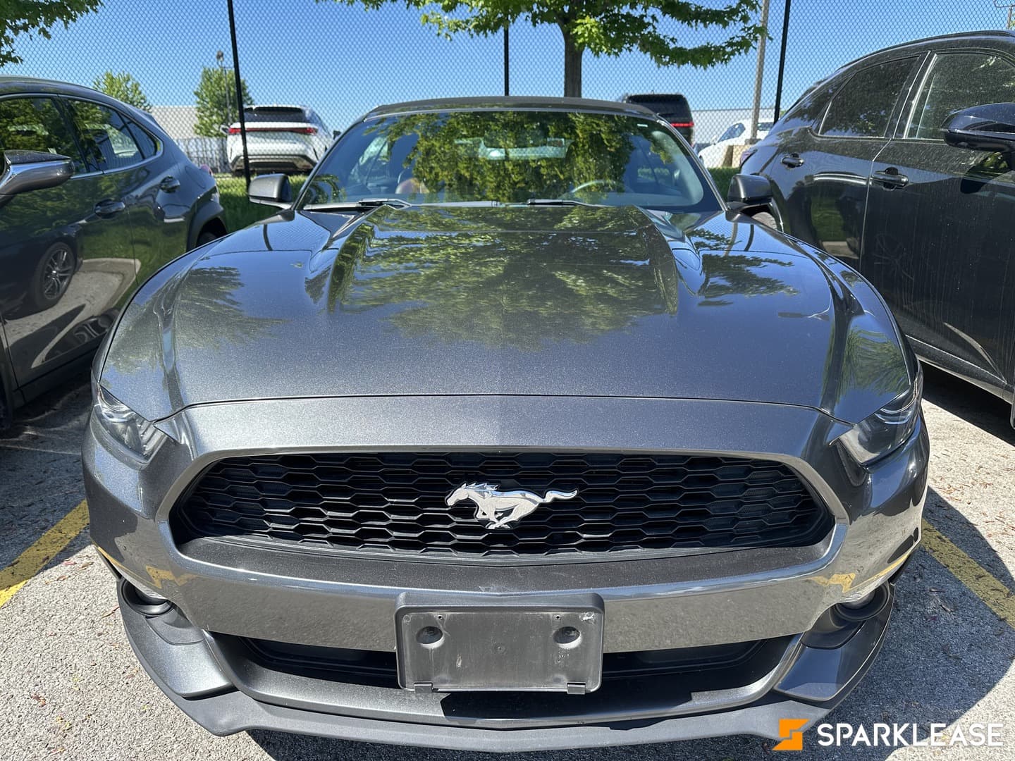 2016 Ford Mustang EcoBoost Premium 敞篷